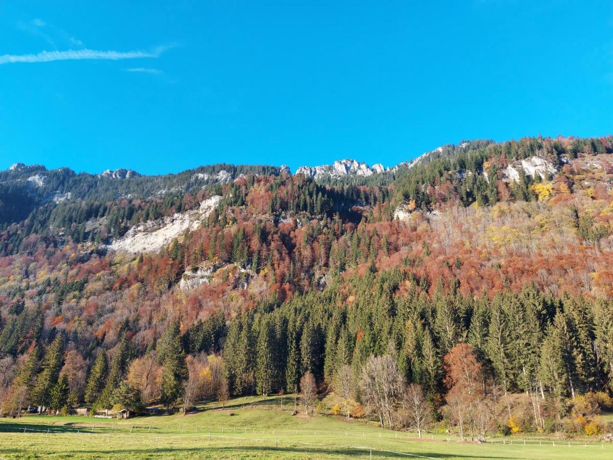 Fewo Sonnenberg Graswang Exterior foto